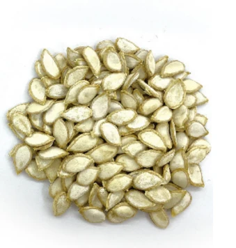 Labai atsparus ūminiam Fusarium Wilt arbūzo skiepų poskiepiui WG-15